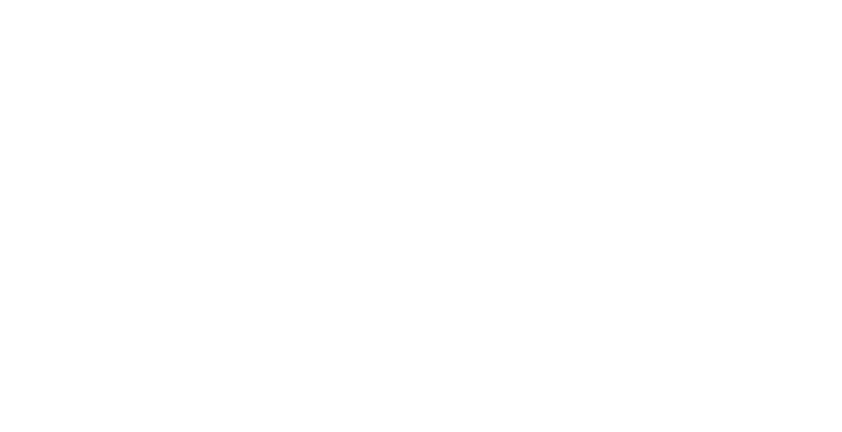 borderforce-logo