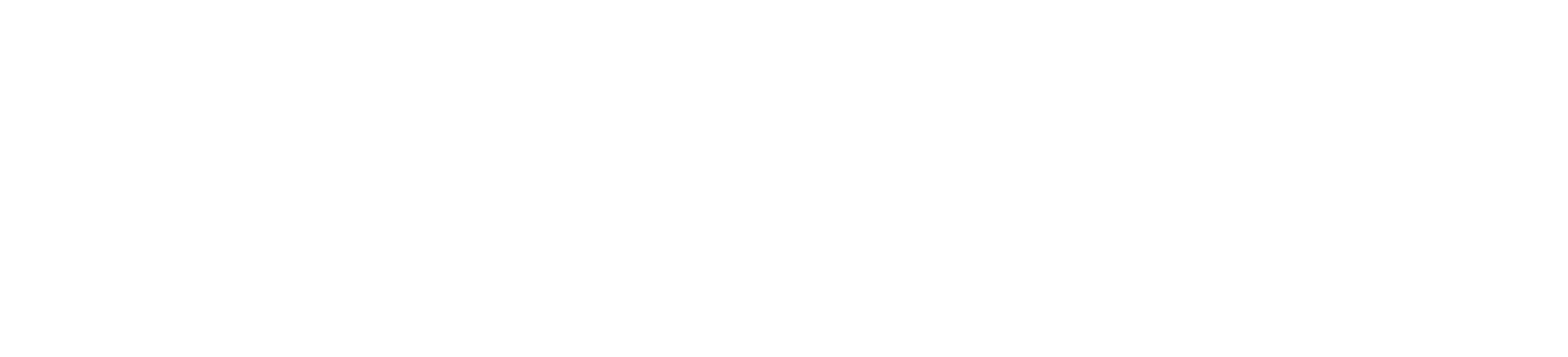 sponsor-birmingham-city-council logo